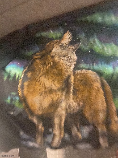 Wolf shirt my beloved | made w/ Imgflip meme maker