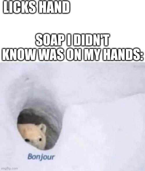 Bonjour | LICKS HAND; SOAP I DIDN'T KNOW WAS ON MY HANDS: | image tagged in bonjour | made w/ Imgflip meme maker