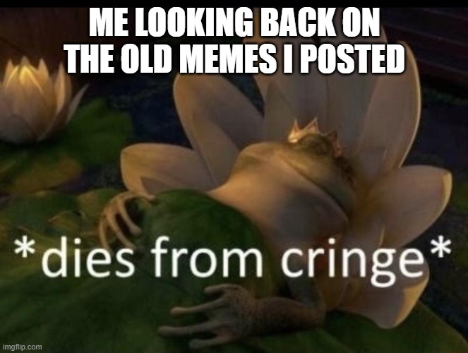 very true | ME LOOKING BACK ON THE OLD MEMES I POSTED | image tagged in dies from cringe | made w/ Imgflip meme maker