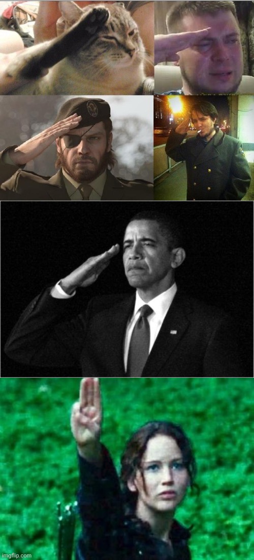 image tagged in ozon's salute,obama-salute,katniss salute | made w/ Imgflip meme maker