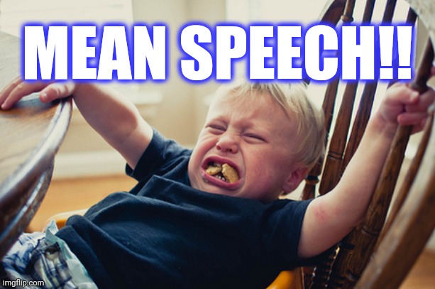 Toddler Tantrum | MEAN SPEECH!! | image tagged in toddler tantrum | made w/ Imgflip meme maker