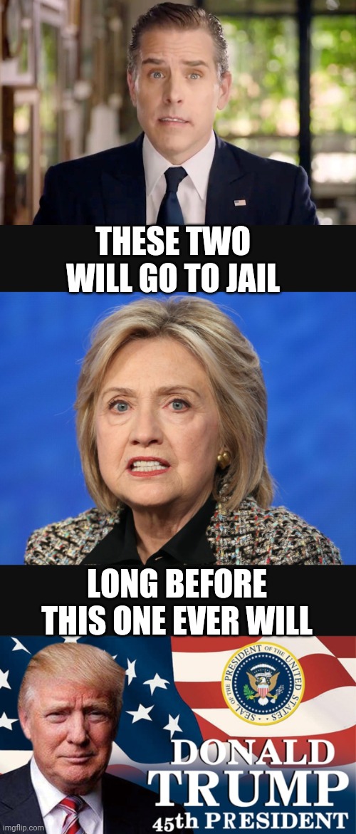Plenty of Room |  THESE TWO WILL GO TO JAIL; LONG BEFORE THIS ONE EVER WILL | image tagged in liberals,democrats,leftists,clinton,hunter,congress | made w/ Imgflip meme maker