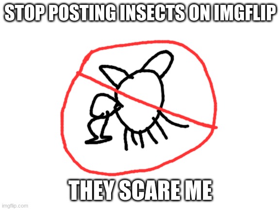 stop doing it | STOP POSTING INSECTS ON IMGFLIP; THEY SCARE ME | image tagged in blank white template | made w/ Imgflip meme maker