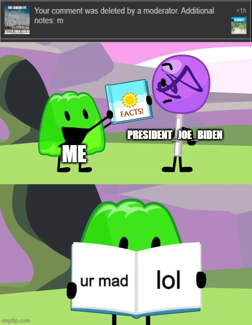 The kid is mad | PRESIDENT_JOE_BIDEN; ME; lol; ur mad | image tagged in gelatin's book of facts,memes,funny,bfb,president_joe_biden,why are you reading this | made w/ Imgflip meme maker