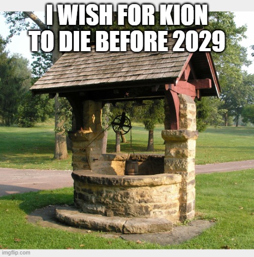 Wishing well | I WISH FOR KION TO DIE BEFORE 2029 | image tagged in wishing well | made w/ Imgflip meme maker