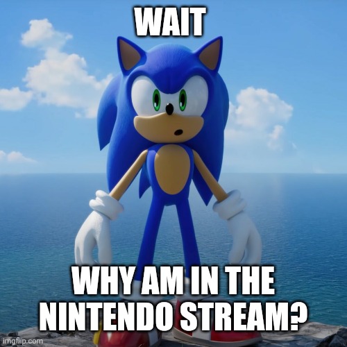Why you here (mods I beg you) | WAIT; WHY AM IN THE NINTENDO STREAM? | image tagged in sonic the hedgehog,nintendo | made w/ Imgflip meme maker