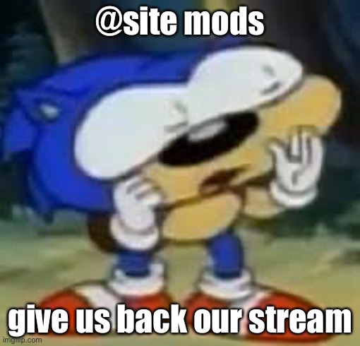 sonic huh? | @site mods; give us back our stream | image tagged in sonic huh | made w/ Imgflip meme maker