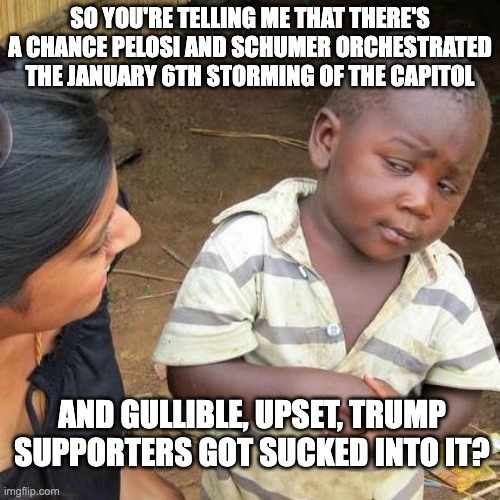Third World Skeptical Kid Meme | SO YOU'RE TELLING ME THAT THERE'S A CHANCE PELOSI AND SCHUMER ORCHESTRATED THE JANUARY 6TH STORMING OF THE CAPITOL; AND GULLIBLE, UPSET, TRUMP SUPPORTERS GOT SUCKED INTO IT? | image tagged in memes,third world skeptical kid | made w/ Imgflip meme maker