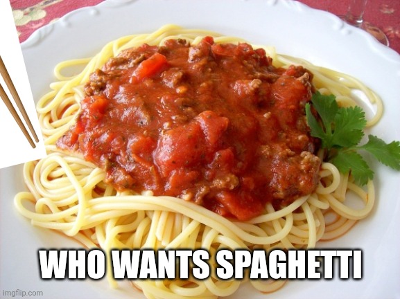 Spaghetti  | WHO WANTS SPAGHETTI | image tagged in spaghetti | made w/ Imgflip meme maker