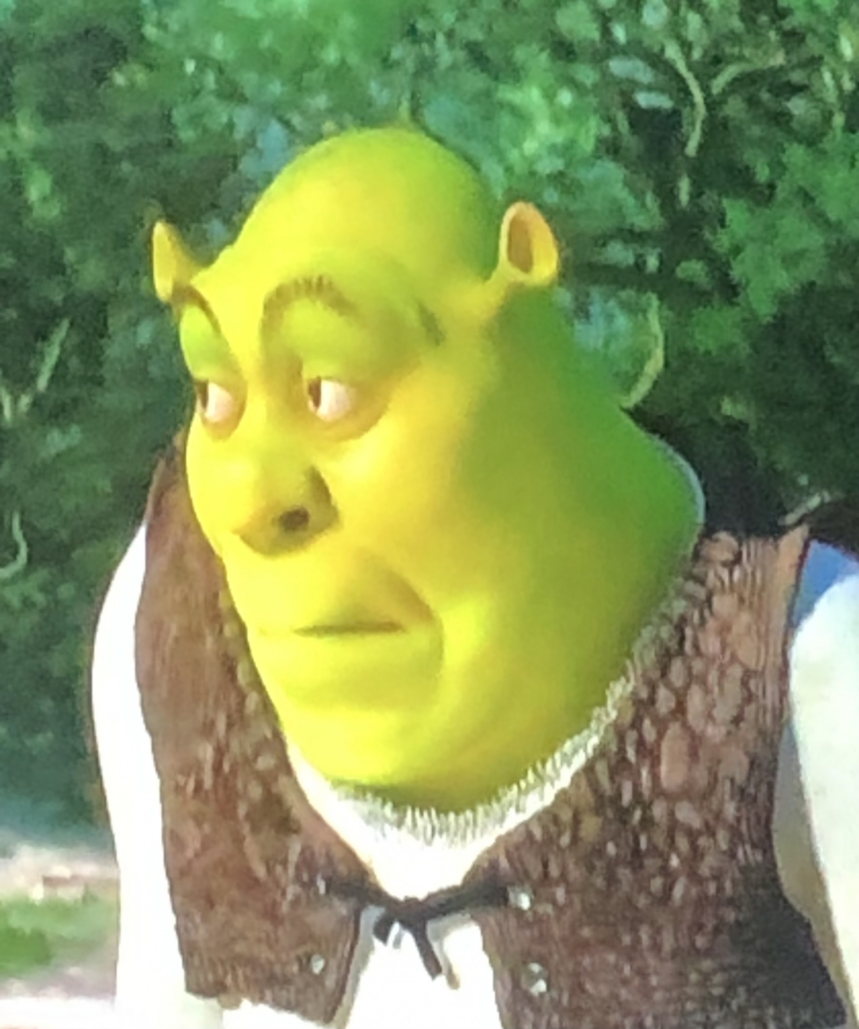 Shrek Blank Template Imgflip Shrek Blank Template Imgflip