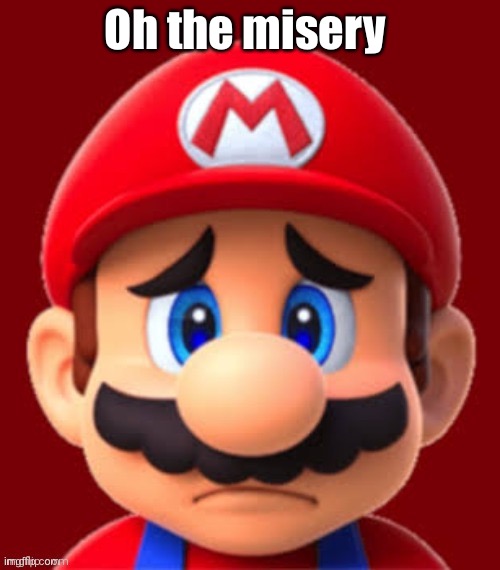 Sad mario | Oh the misery | image tagged in sad mario | made w/ Imgflip meme maker