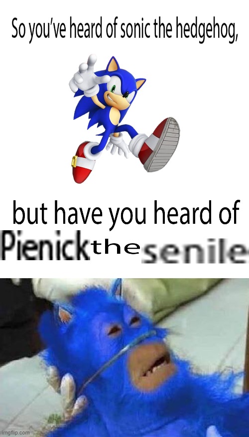 I asked | image tagged in sonic the hedgehog | made w/ Imgflip meme maker