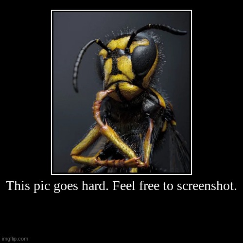 grnjlengjerklgrewlfrnerg frlegn'/ | made w/ Imgflip demotivational maker