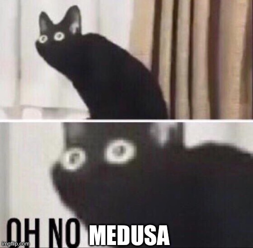Oh no cat | MEDUSA | image tagged in oh no cat | made w/ Imgflip meme maker