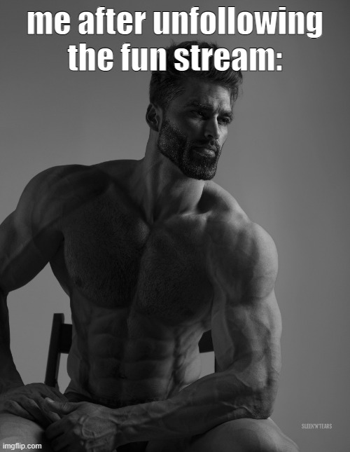 Giga Chad | me after unfollowing the fun stream: | image tagged in giga chad | made w/ Imgflip meme maker