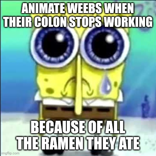 Same with their arteries | ANIMATE WEEBS WHEN THEIR COLON STOPS WORKING; BECAUSE OF ALL THE RAMEN THEY ATE | image tagged in sad spongebob | made w/ Imgflip meme maker