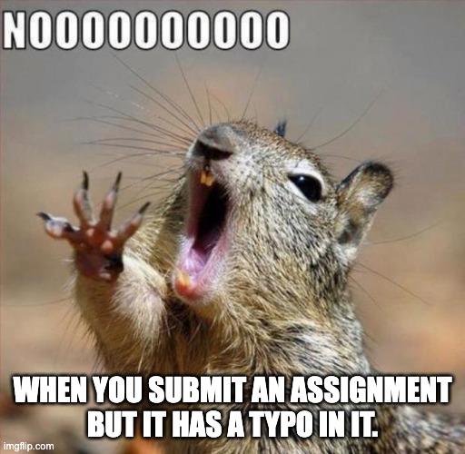 why am i like this | WHEN YOU SUBMIT AN ASSIGNMENT BUT IT HAS A TYPO IN IT. | image tagged in noooooooooooooooooooooooo | made w/ Imgflip meme maker