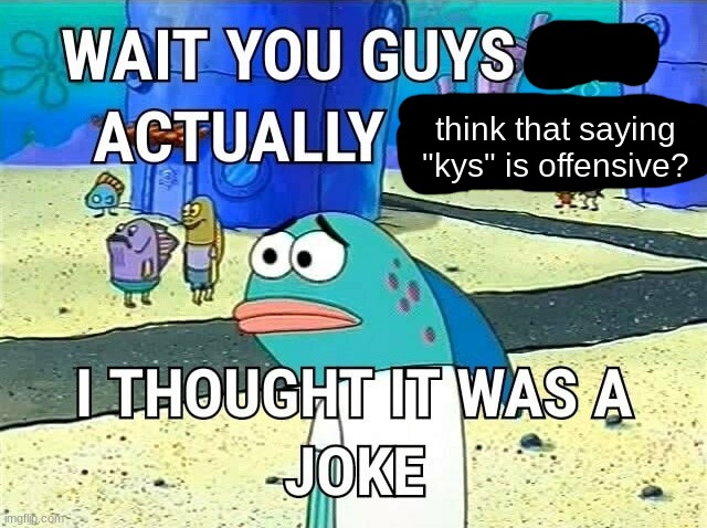 Snowflakes. | think that saying "kys" is offensive? | made w/ Imgflip meme maker