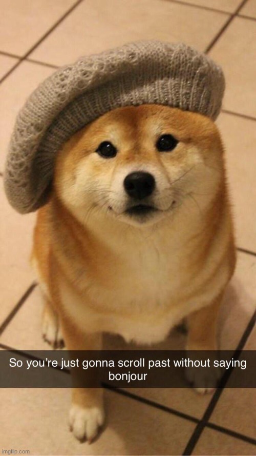 pls give the shiba a greeting ^^ (THIS IMAGE IS NOT MINE.) | image tagged in shiba inu,wholesome,wholesome 100,memes | made w/ Imgflip meme maker