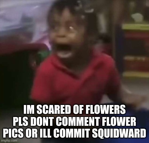 anthophobia be like | IM SCARED OF FLOWERS PLS DONT COMMENT FLOWER PICS OR ILL COMMIT SQUIDWARD | image tagged in memes,funny,black kid screaming,anthophobia,flower,dont do it | made w/ Imgflip meme maker