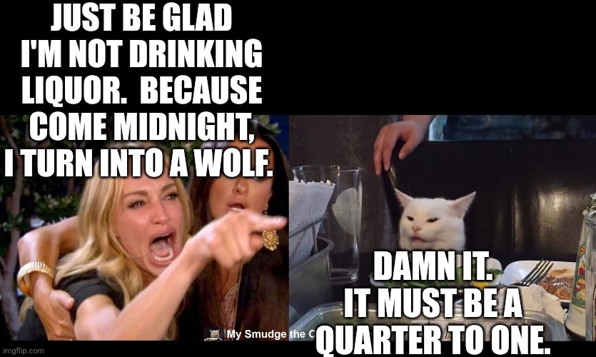 JUST BE GLAD I'M NOT DRINKING LIQUOR.  BECAUSE COME MIDNIGHT, I TURN INTO A WOLF. DAMN IT. IT MUST BE A QUARTER TO ONE. | image tagged in smudge the cat | made w/ Imgflip meme maker