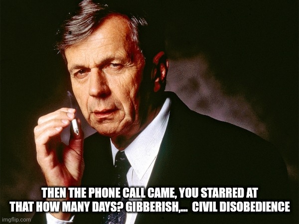 Cigarette Smoking Man | THEN THE PHONE CALL CAME, YOU STARRED AT THAT HOW MANY DAYS? GIBBERISH,...  CIVIL DISOBEDIENCE | image tagged in cigarette smoking man | made w/ Imgflip meme maker