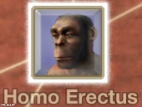 Homo Erectus | image tagged in homo erectus | made w/ Imgflip meme maker