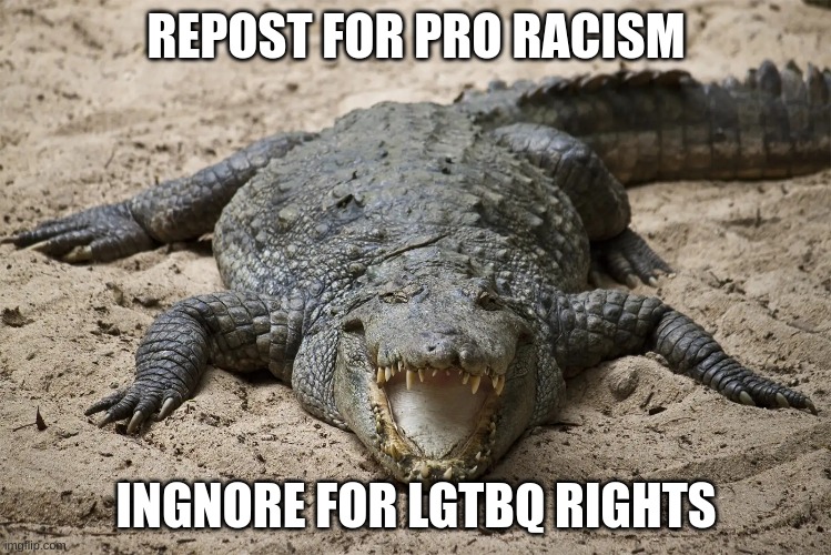 REPOST FOR PRO RACISM; INGNORE FOR LGTBQ RIGHTS | made w/ Imgflip meme maker