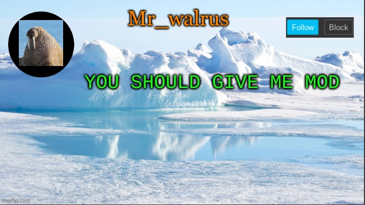 Mr_walrus | YOU SHOULD GIVE ME MOD | image tagged in mr_walrus | made w/ Imgflip meme maker