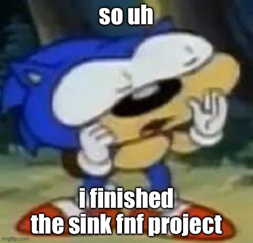 sonic huh? | so uh; i finished the sink fnf project | image tagged in sonic huh | made w/ Imgflip meme maker