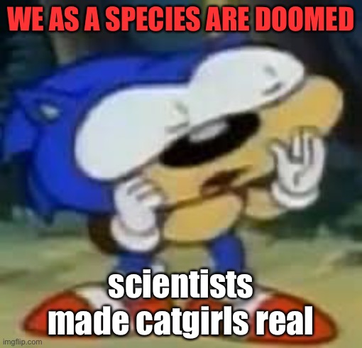 sonic huh? | WE AS A SPECIES ARE DOOMED; scientists made catgirls real | image tagged in sonic huh | made w/ Imgflip meme maker