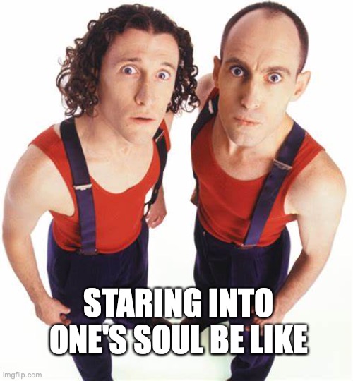 Staring into one's soul be like | STARING INTO ONE'S SOUL BE LIKE | image tagged in the umbilical brothers | made w/ Imgflip meme maker