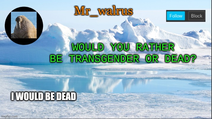 Mr_walrus | WOULD YOU RATHER BE TRANSGENDER OR DEAD? I WOULD BE DEAD | image tagged in mr_walrus | made w/ Imgflip meme maker
