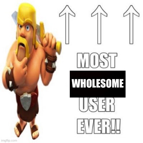 the mods probally will troll me again | WHOLESOME | image tagged in most racist user ever | made w/ Imgflip meme maker