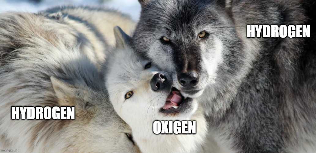 Chemistry joke | HYDROGEN; HYDROGEN; OXIGEN | image tagged in memes,science,chemistry,atoms | made w/ Imgflip meme maker