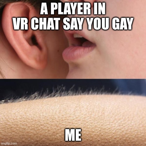 Whisper and Goosebumps | A PLAYER IN VR CHAT SAY YOU GAY; ME | image tagged in whisper and goosebumps | made w/ Imgflip meme maker