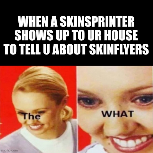Shoutout to CreeperAlt0407 for the idea :) |  WHEN A SKINSPRINTER SHOWS UP TO UR HOUSE TO TELL U ABOUT SKINFLYERS | image tagged in the what | made w/ Imgflip meme maker