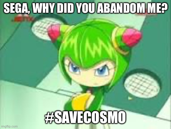 Sega why did you Abandon Cosmo???? | SEGA, WHY DID YOU ABANDOM ME? #SAVECOSMO | image tagged in cosmo is serious,savecosmo,meme,sonic the hedgehog | made w/ Imgflip meme maker