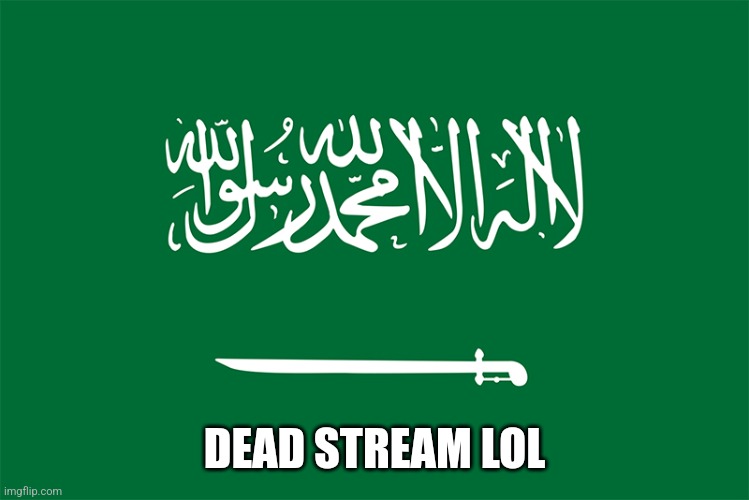 المملكة العربية السعودية | DEAD STREAM LOL | made w/ Imgflip meme maker