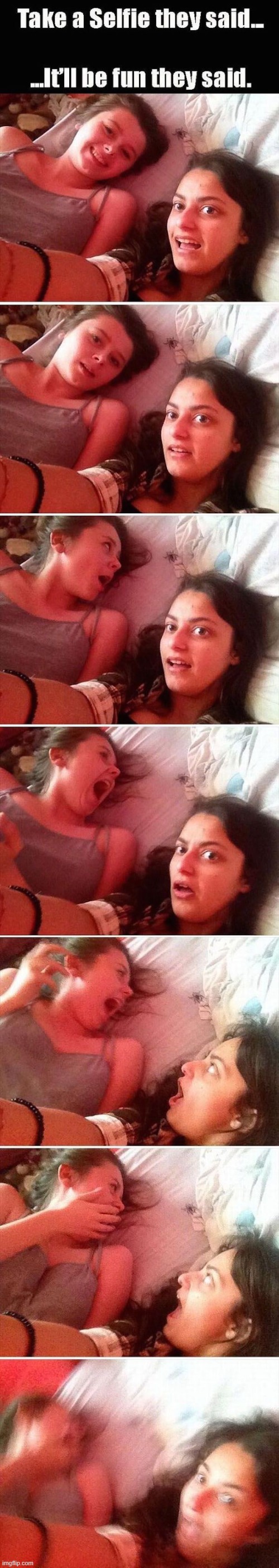 image tagged in memes | made w/ Imgflip meme maker