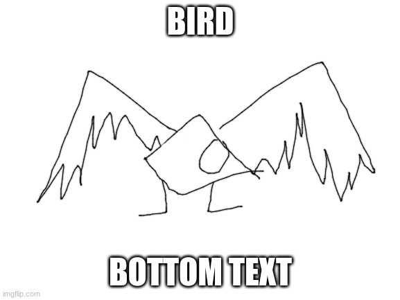 Blank White Template | BIRD; BOTTOM TEXT | image tagged in blank white template | made w/ Imgflip meme maker