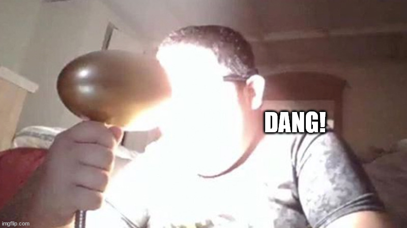 kid shining light into face | DANG! | image tagged in kid shining light into face | made w/ Imgflip meme maker