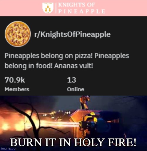 Pineapples DO NOT belong on pizza, change my mind. | image tagged in burn it in holy fire 6,memes,unfunny | made w/ Imgflip meme maker