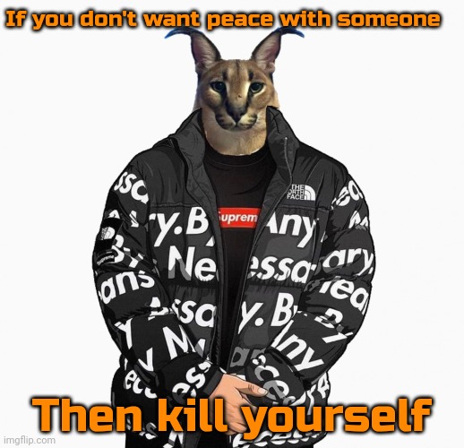 Floppa drip | If you don't want peace with someone; Then kill yourself | image tagged in floppa drip | made w/ Imgflip meme maker