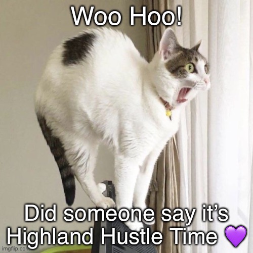 Highland Hustle Time | Woo Hoo! Did someone say it’s Highland Hustle Time 💜 | image tagged in dance,cat,scottish,fitness | made w/ Imgflip meme maker