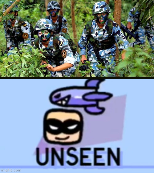 Invisibility... | image tagged in blank white template,wrong camo,horizontal line,unseen,sneak 100,illusion 100 | made w/ Imgflip meme maker