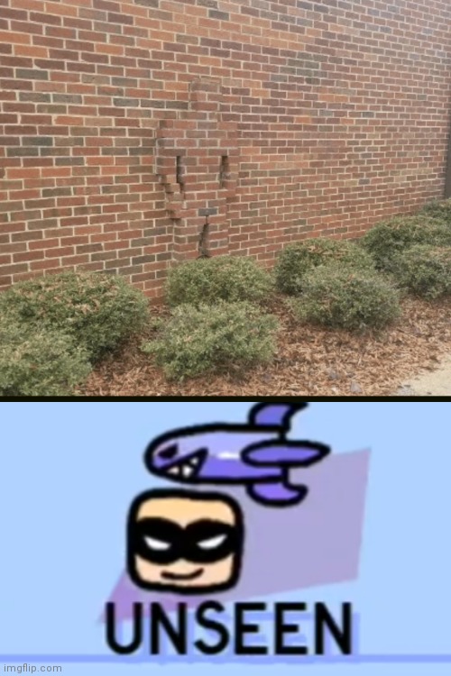 I'm kinda confused??? | image tagged in blank white template,brick camouflage,horizontal line,unseen,sneak 100,illusion 100 | made w/ Imgflip meme maker