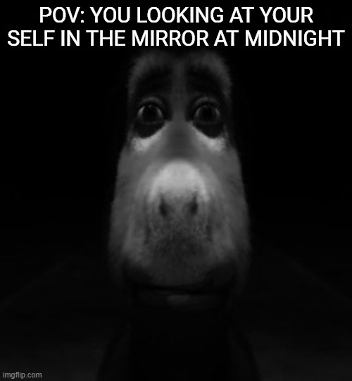 lol | POV: YOU LOOKING AT YOUR SELF IN THE MIRROR AT MIDNIGHT | image tagged in donkey,funny,fun,lol so funny,donkey from shrek | made w/ Imgflip meme maker