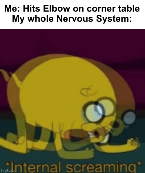 Nervous System Be Like: | Me: Hits Elbow on corner table

My whole Nervous System: | image tagged in jake the dog internal screaming,memes,nervous system,adventure time | made w/ Imgflip meme maker