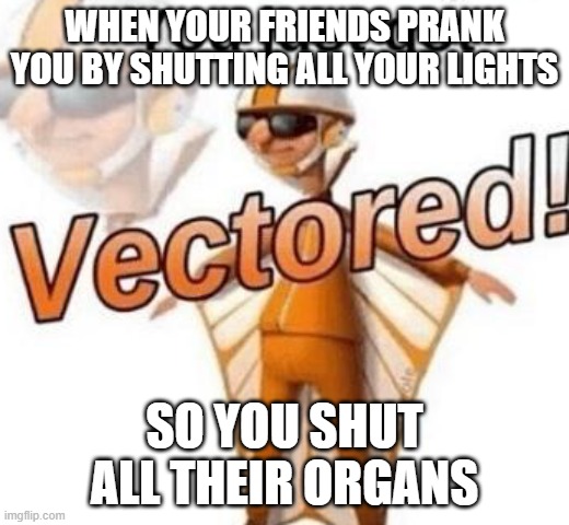 You just got vectored | WHEN YOUR FRIENDS PRANK YOU BY SHUTTING ALL YOUR LIGHTS; SO YOU SHUT ALL THEIR ORGANS | image tagged in you just got vectored | made w/ Imgflip meme maker